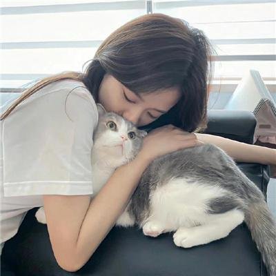 西部战线
